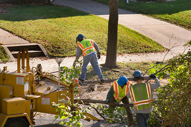 Best Utility Line Clearance  in Covington, GA